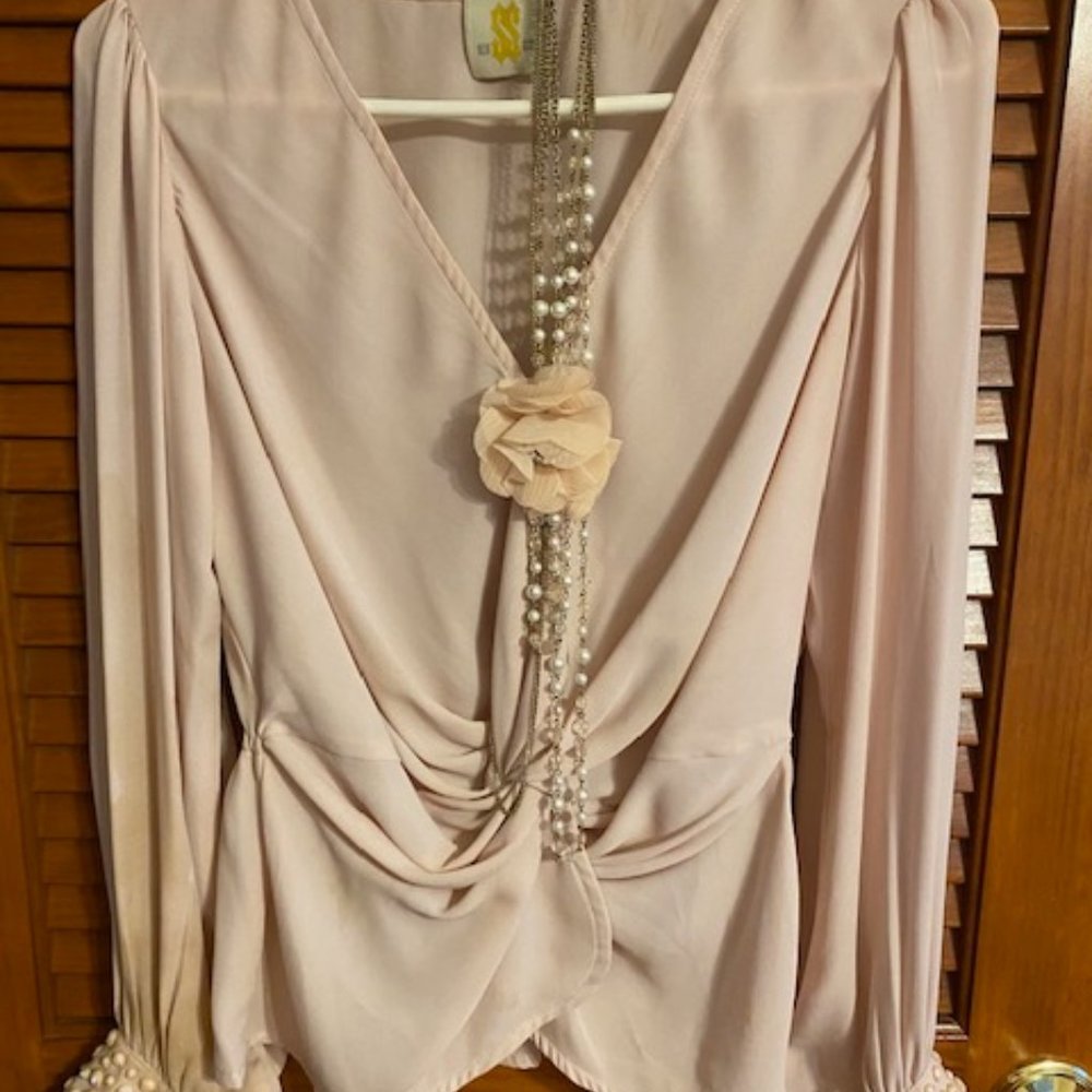 Elegant Sheer Blouse